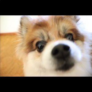 Meet your Posher, Nathan